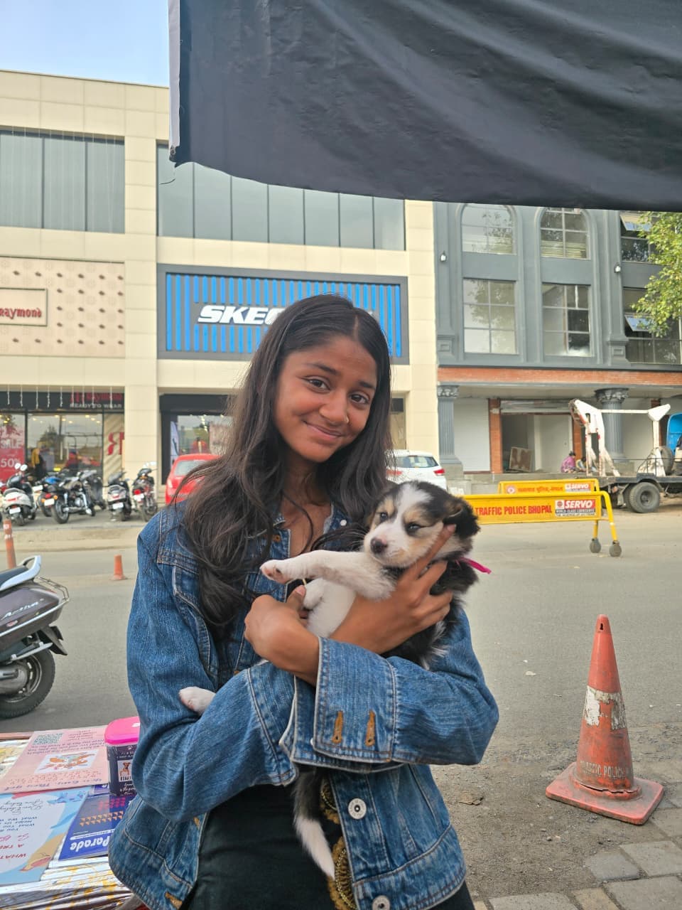 Animal healing and shelter support