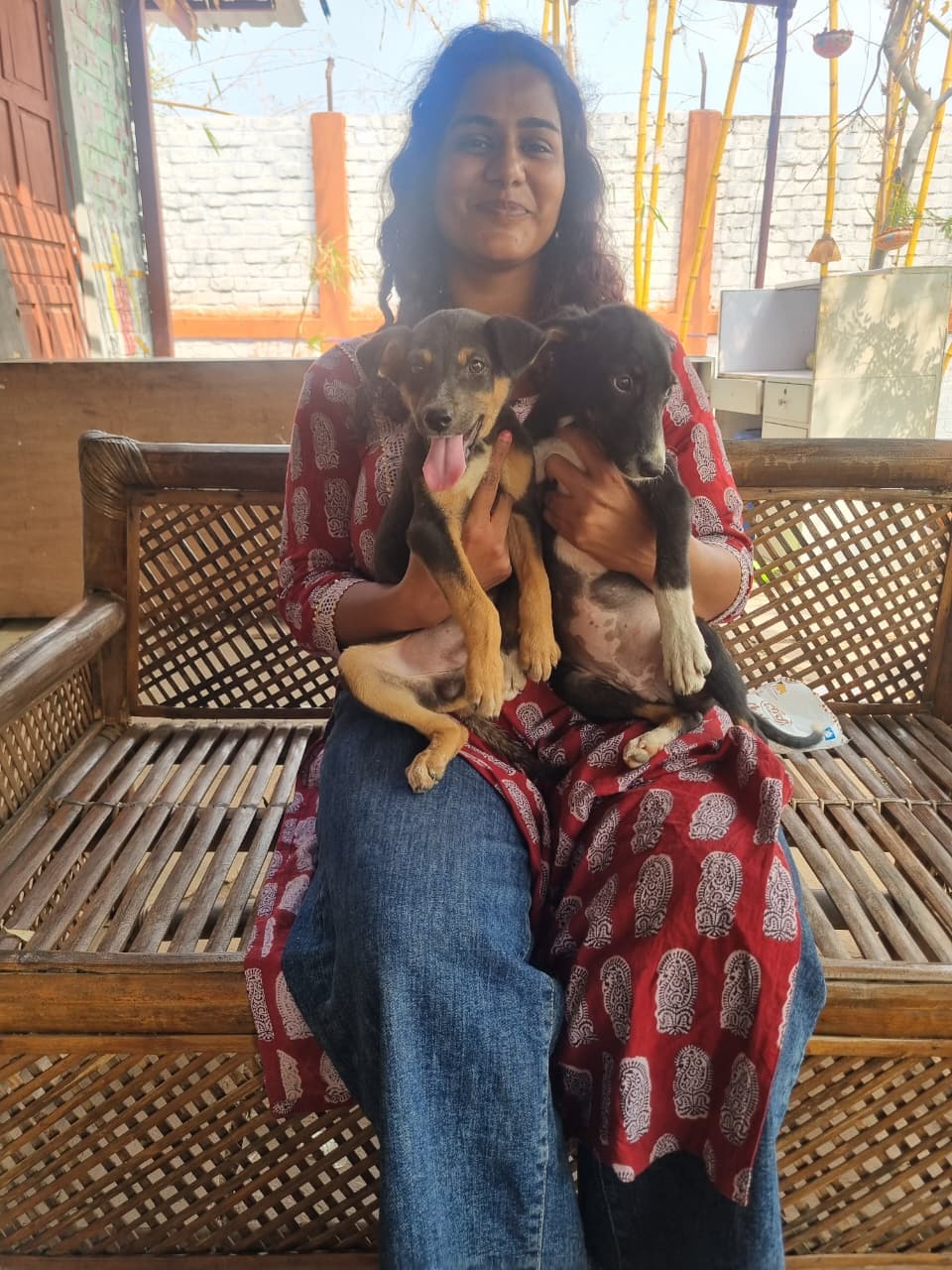 Understanding Animal Behavior: A Guide for New Volunteers