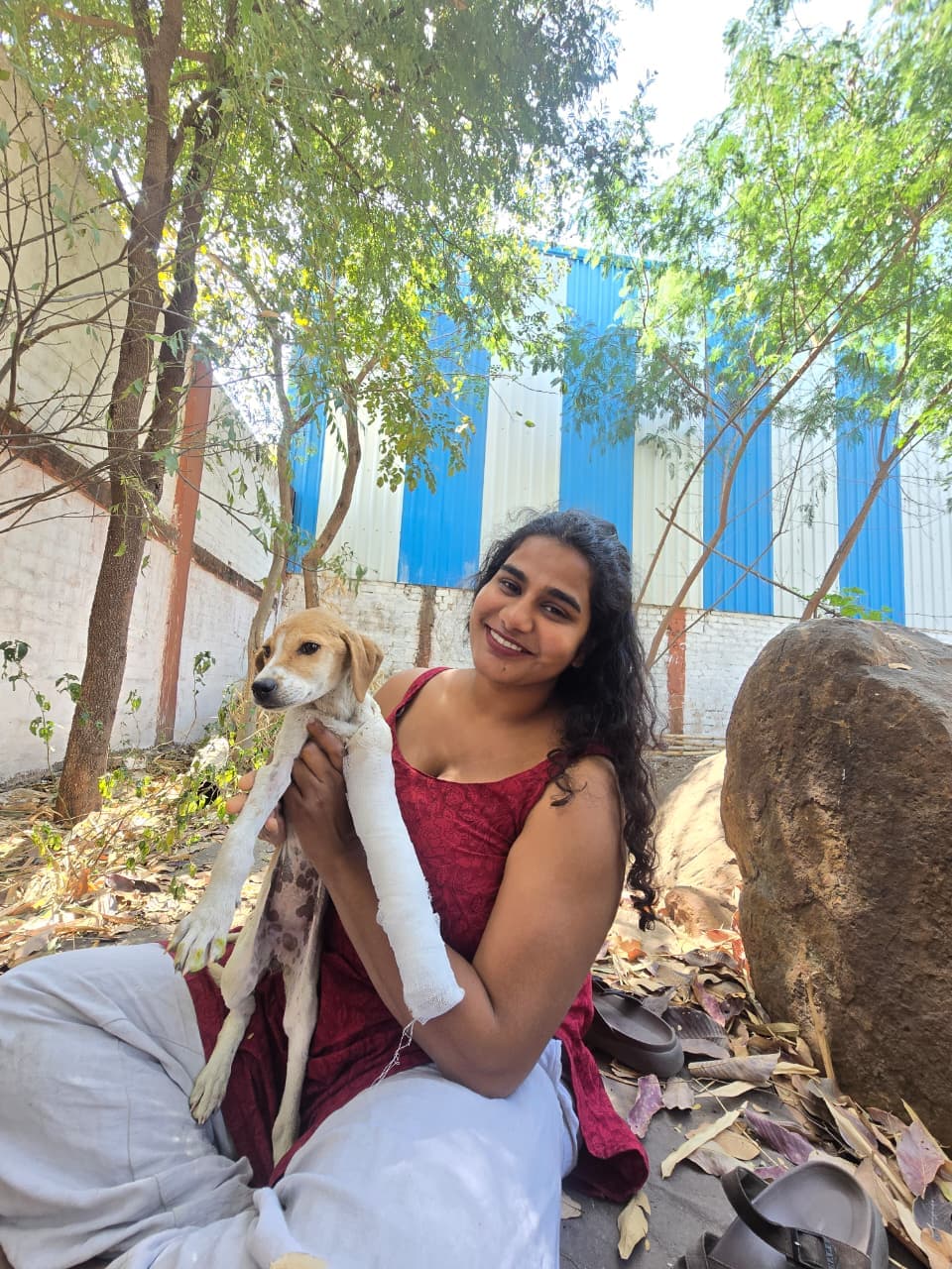 How to Create a Pet-Friendly Community