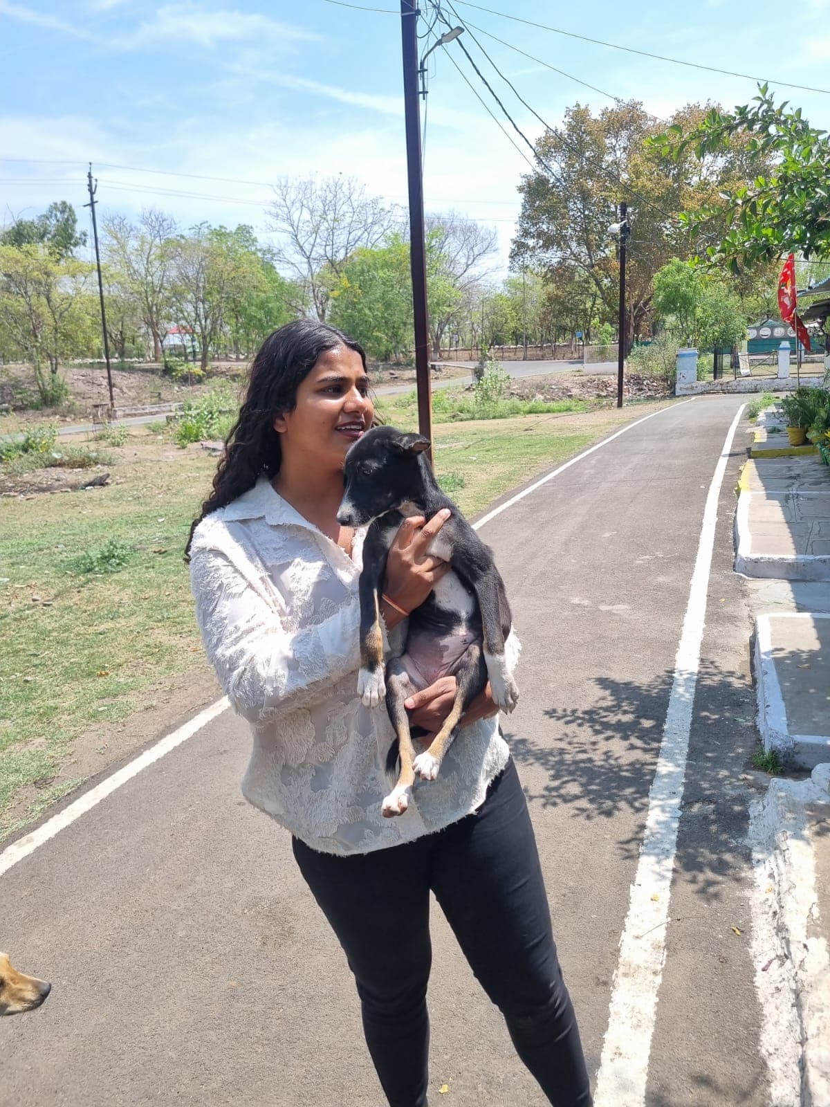 Winter Care: Protecting Animals in Cold Weather