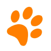 Orange Paw Print Decoration