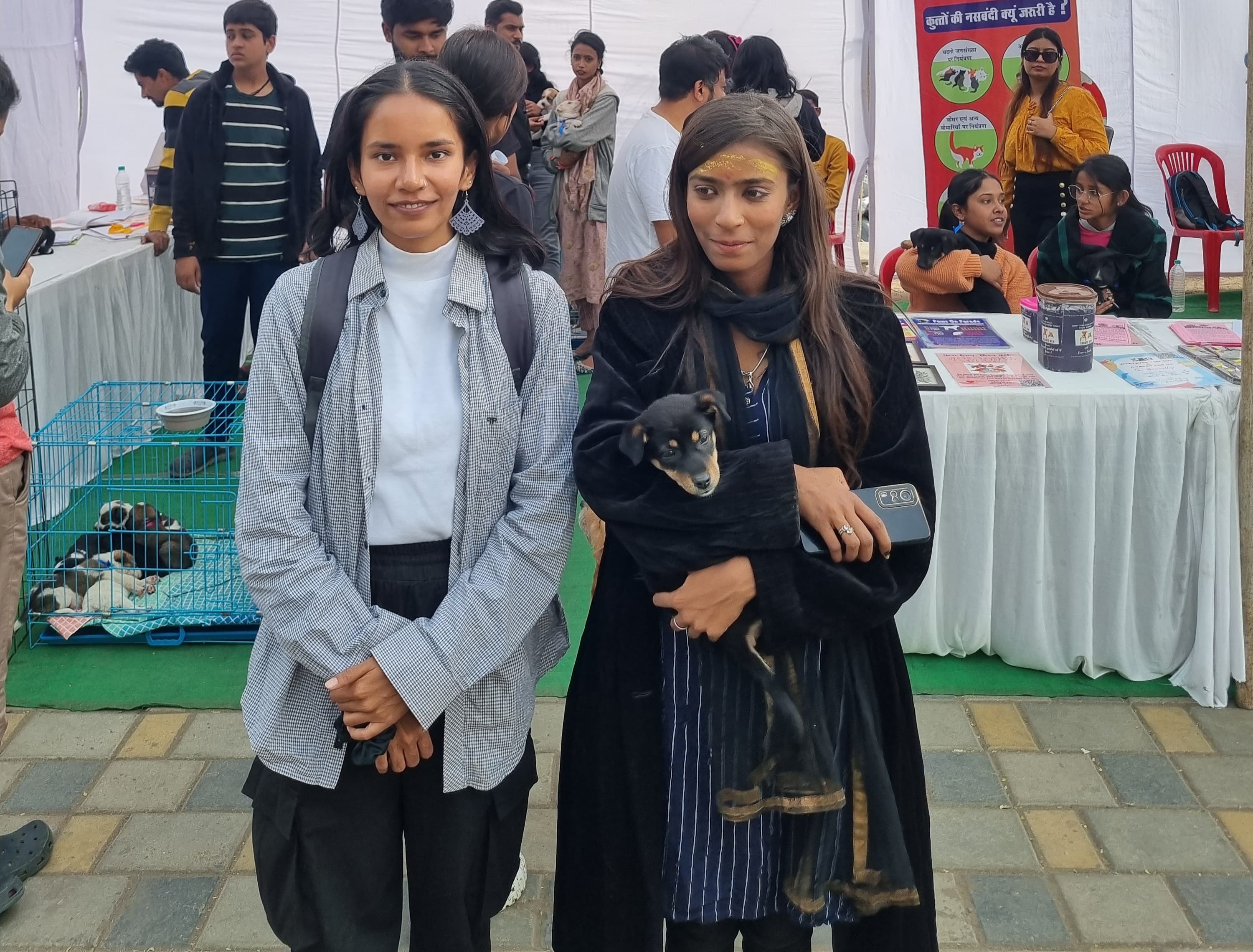 New Year Adoption Drive