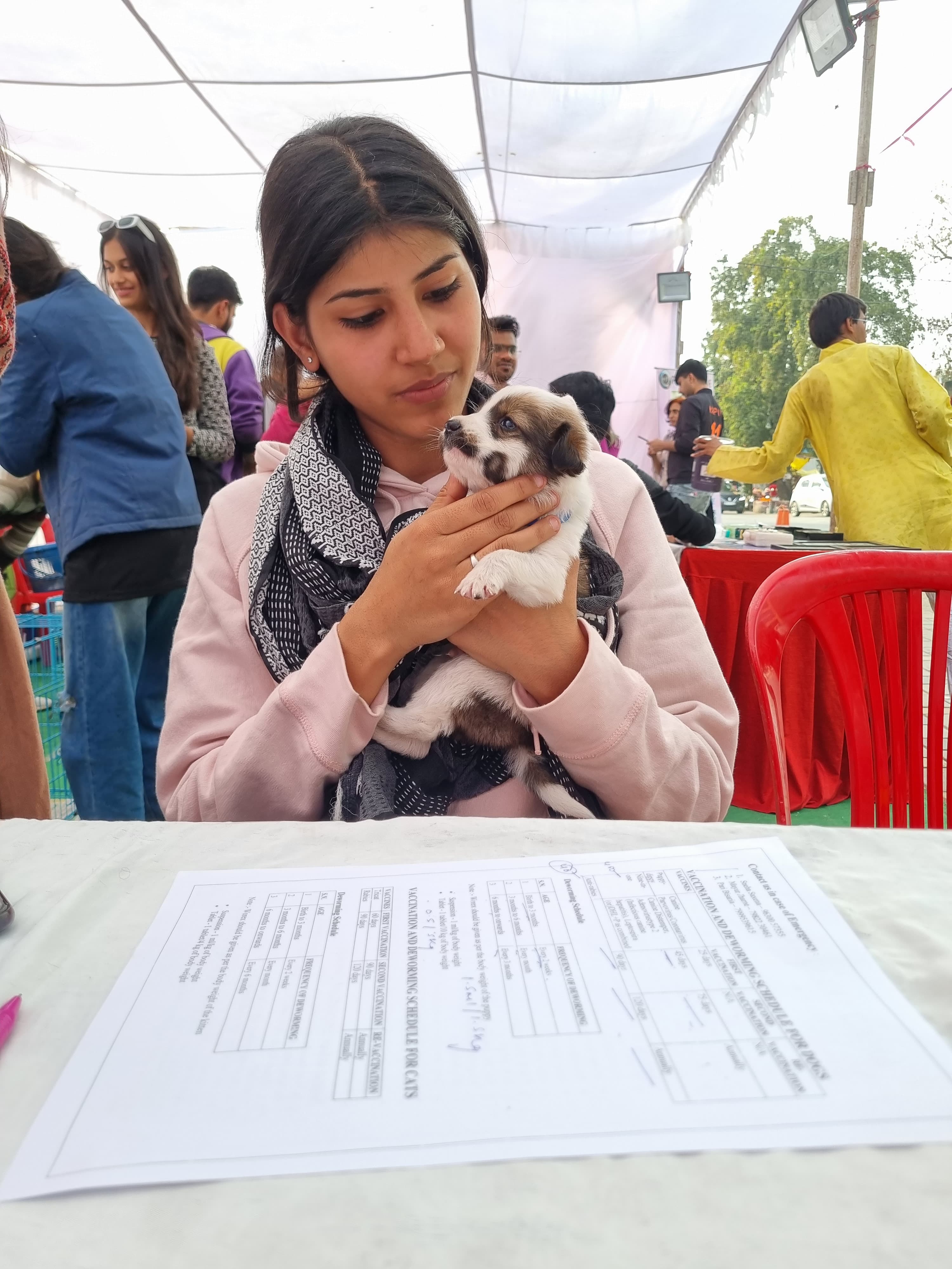 Animal healing and shelter support
