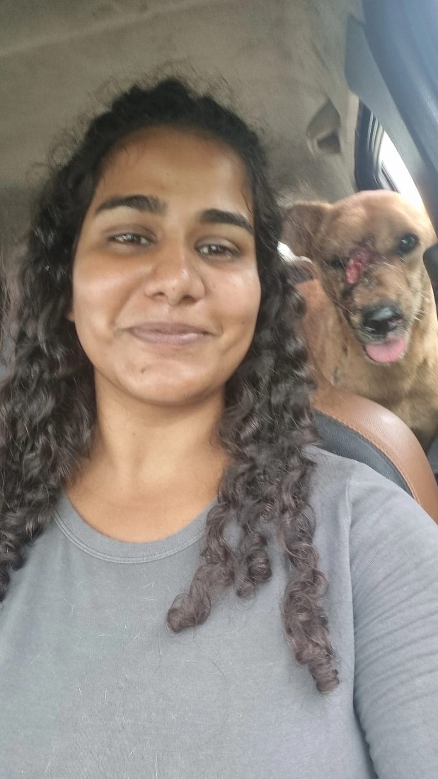 Rescued dog