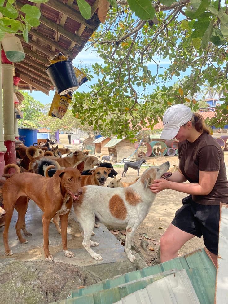 Happy rescued animal