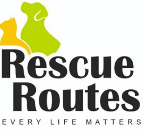 Rescue Routes